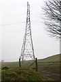 SJ0846 : Pylon on the hillside near Caenog farm by Eirian Evans