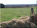 Pasture land and forest plantations south of the Llangybi road