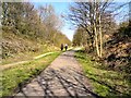 Riders on the Trail