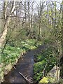 Waterhead Brook upstream at Moseley Court