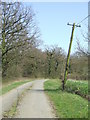 The Leaning Pole Of Wattisfield