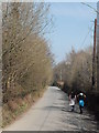 Lane down to Llwyndafydd