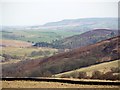 View of the Grasslees Burn valley from hill south of Billsmoor Park