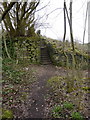 Footpath and steps off Spring View Road, east side of bridge