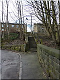 SE0324 : Steps, between Bank View and Spring View Road by Alexander P Kapp