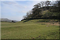 Worton Scar