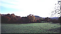 Autumn at Migdale church