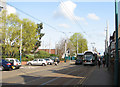 Tram on Noel Street