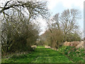 Farm Track, Tile Lodge Farm