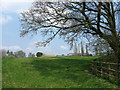 Barn Meadow