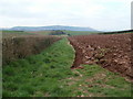 Upton Bishop, ploughed field