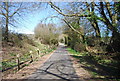 Lane heading to Goudhurst