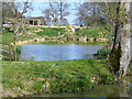 Ponds at Baldhorns Park