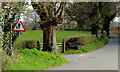 Rural "Pedestrians Ahead" sign near Belfast