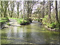 Footbridge and river