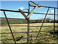 Field and gate near Colston