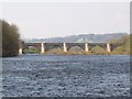 NY9864 : The River Tyne east of the bridge at Corbridge by Mike Quinn