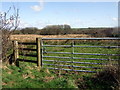 Path over Wallis Moor