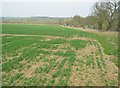 Arable land near Stretton en le Field