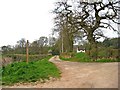 Bridleway to Hampton Loade