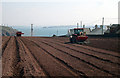 Pembrokeshire Potatoes