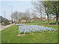 Spring flowers on The Green at Paulsgrove