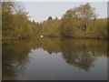 Lake near Frith Farm