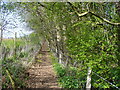 Bridleway South of Busbridge Lakes