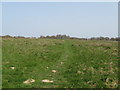 Footpath over rough pasture to Hendall Wood