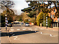 Zebra Crossing