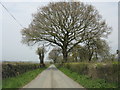 Lane north of Twyford corner