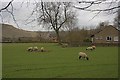 Edale, From the East