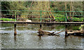 The River Lagan at Lambeg (2)