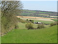 Lodge Hill Farm from Rout