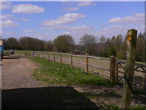SU9025 : The footpath heads west at Verdley Farm by Shazz