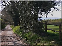 SU9025 : The footpath from Verdley Farm by Shazz