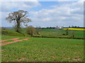 East Devon arable