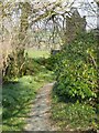 Path to the church, Abbots Bickington