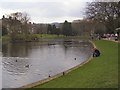 Pavilion Gardens