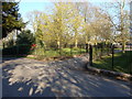 Entrance drive to Craddock House