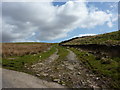 Track off the road to Sweet Well House