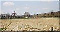 Turf Cuttings, Stonery Farm