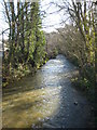 The River Fal above the bridge at Grampound