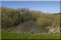 Pond by Mile Road