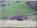 Bridge over Cameron Burn, Glenhove