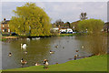 Pond, West End