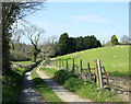 2010 : Track off the A39