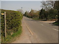 Sussex Border Path on Union Street