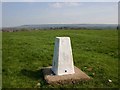 SP3251 : Trig point on Pittern Hill, Kineton by David P Howard