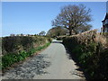 Ffordd Top Llan  heading north to village